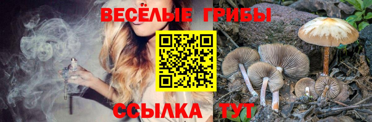 Новый Уренгой  Псилоцибиновые грибы Psilocybe  Вход с VPN 