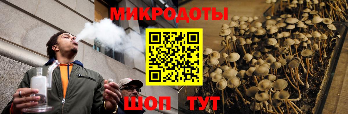 Альфа ПВП Новый Уренгой