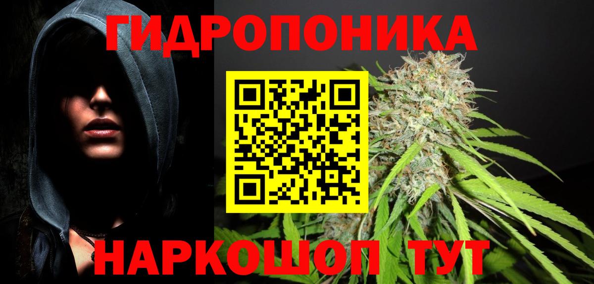 Бошки марихуана гибрид  Бошки Шишки VHQ  Новый Уренгой  Вход с VPN  Бошки марихуана марихуана 